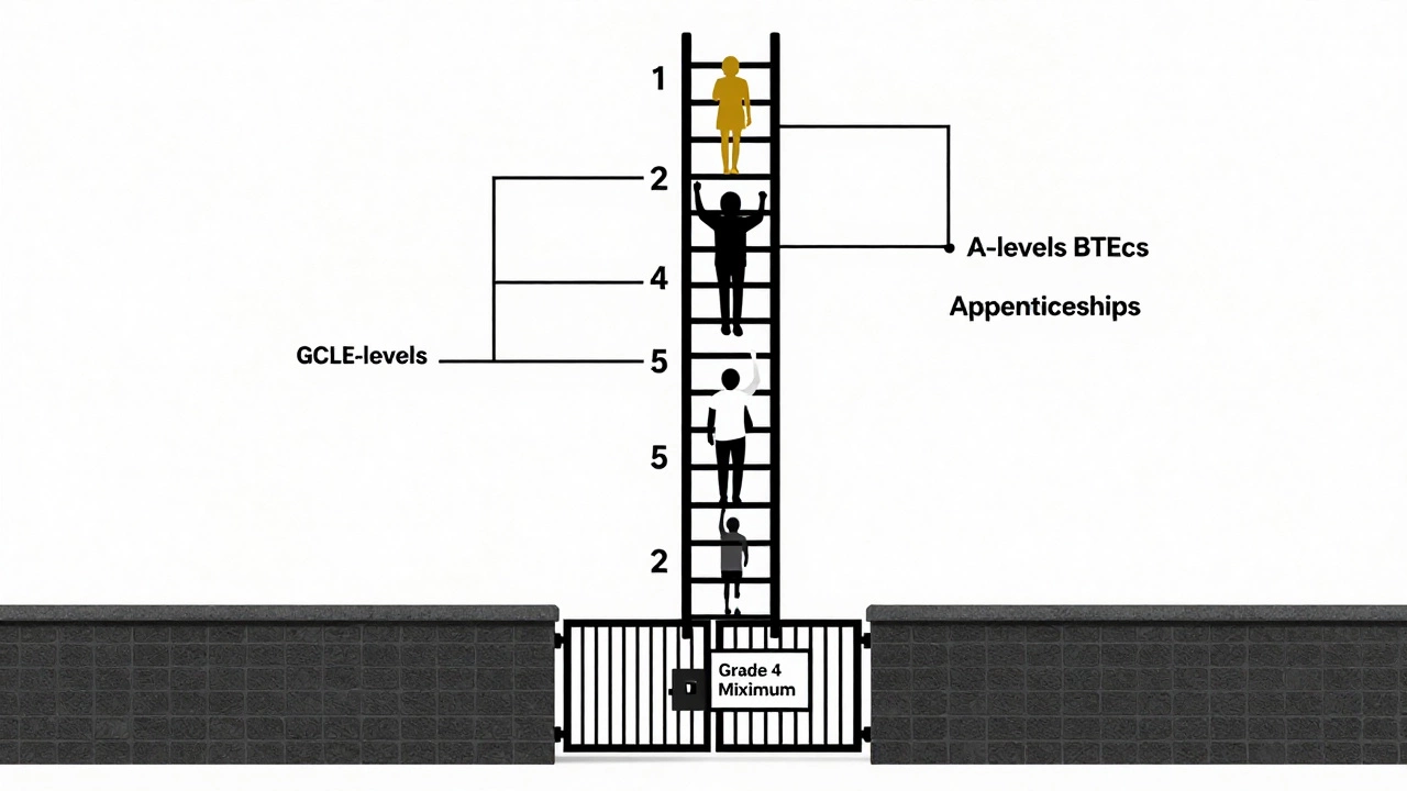 A symbolic ladder with GCSE grades 9 to 1, where only those above grade 4 can climb to higher education options.