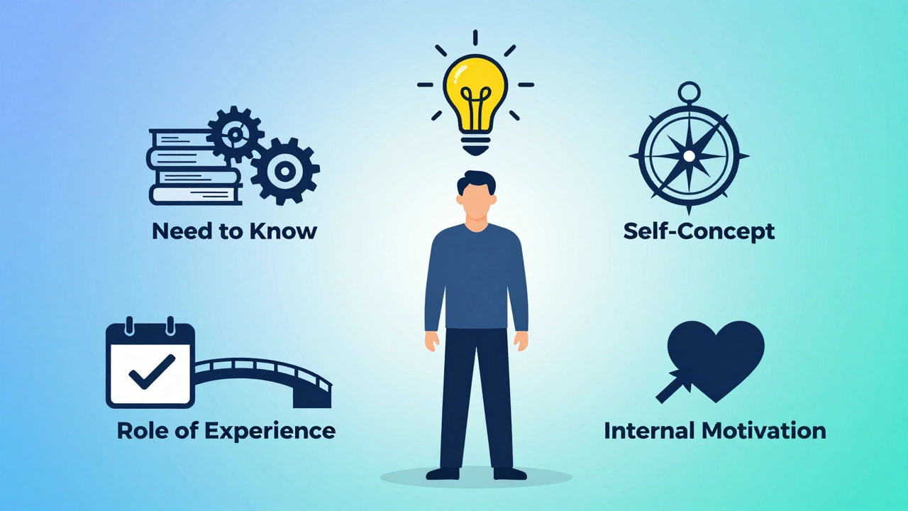 Illustration of adult learning principles and motivations